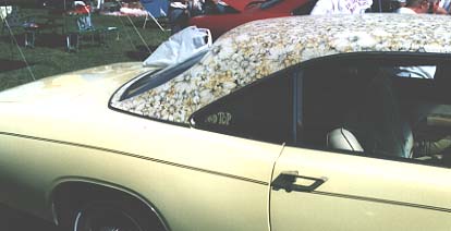 Closer view of the 318 Mod Top 