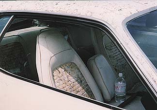 [Interior Shot]