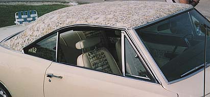 [1969 Mod Top Barracuda]