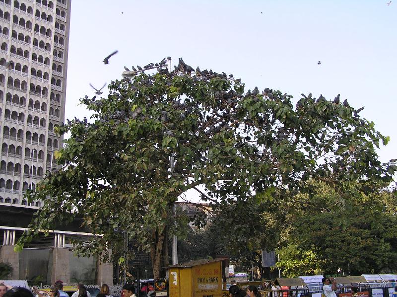 839535
12/25/06 6:41 AM
2288 x 1712
Flash did not fire, auto
6.8mm
1/200s
4.0

Multi-segment
OLYMPUS CORPORATION
C765UZ
