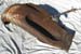 front-fender-with-wheelwell
